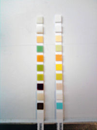 200px-comp-urine-test-strip